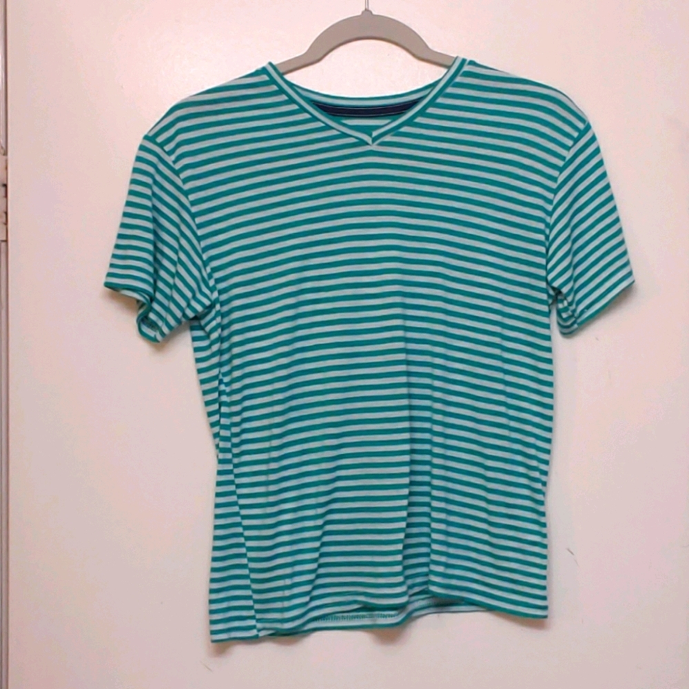 Teal and white striped v-necked tee